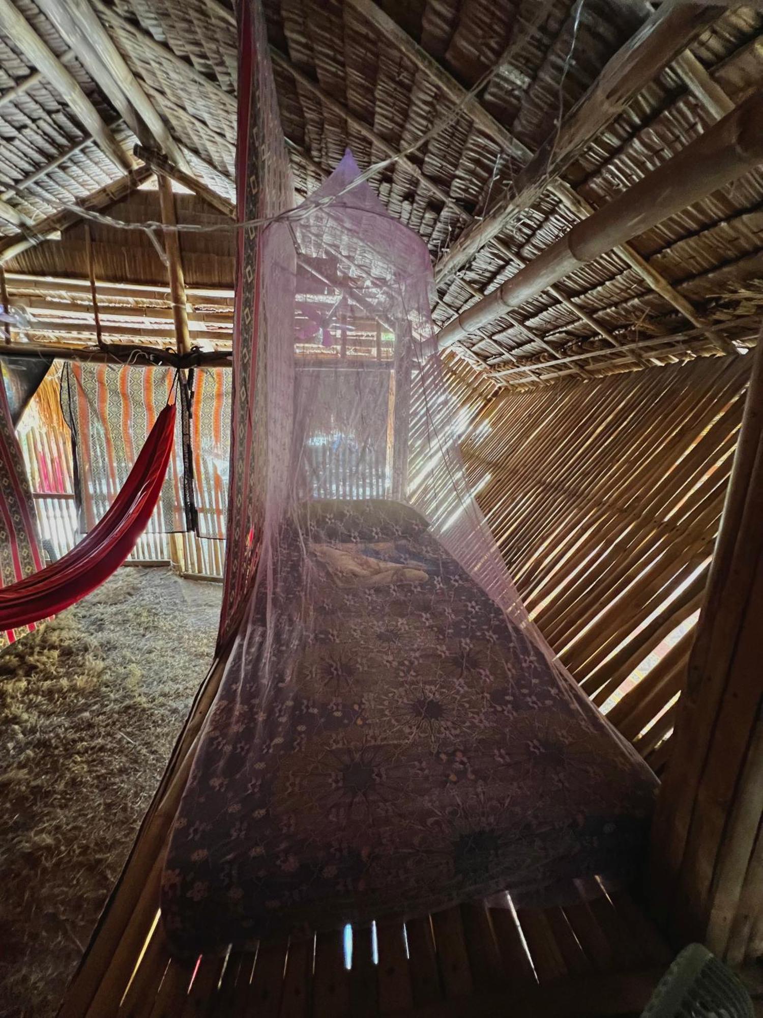 Tribal Huts Community Vandrerhjem Daanbantayan Rom bilde