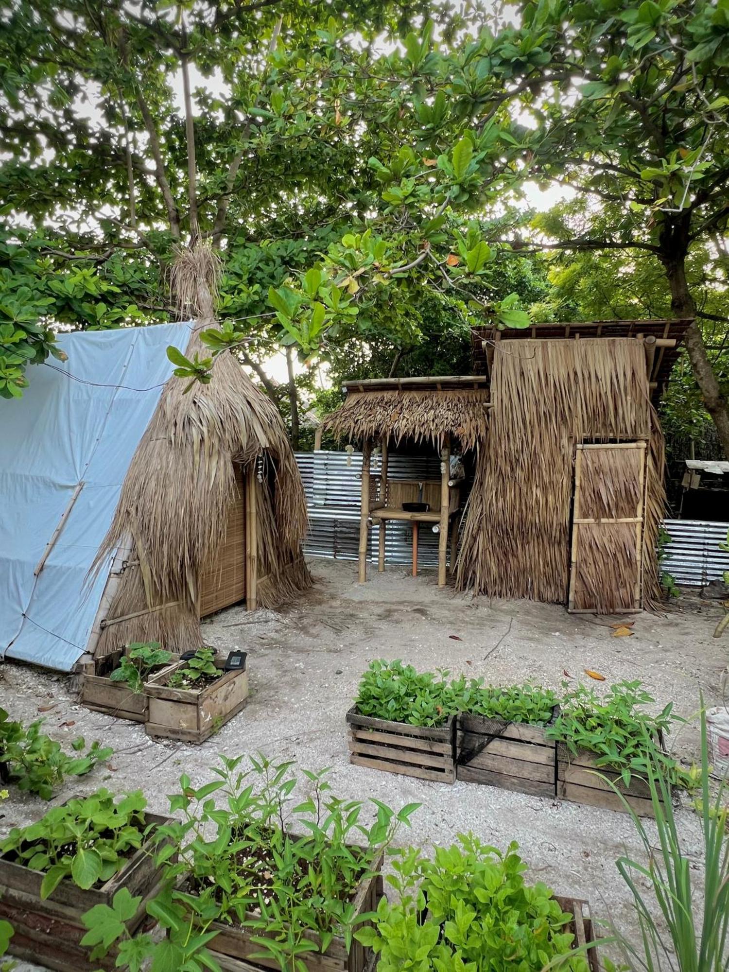 Tribal Huts Community Vandrerhjem Daanbantayan Eksteriør bilde